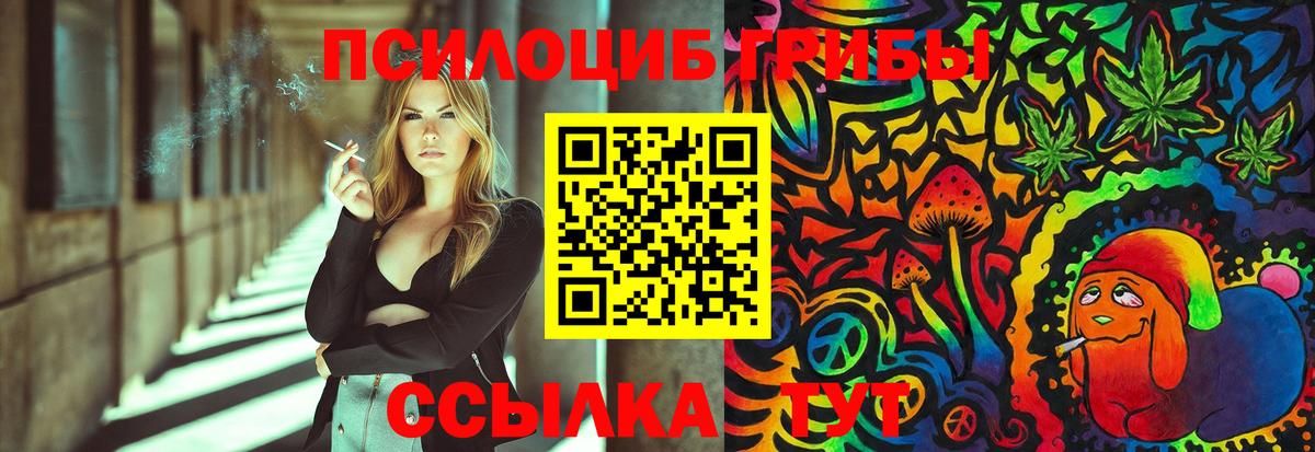 Псилоцибиновые грибы Psilocybe Самара