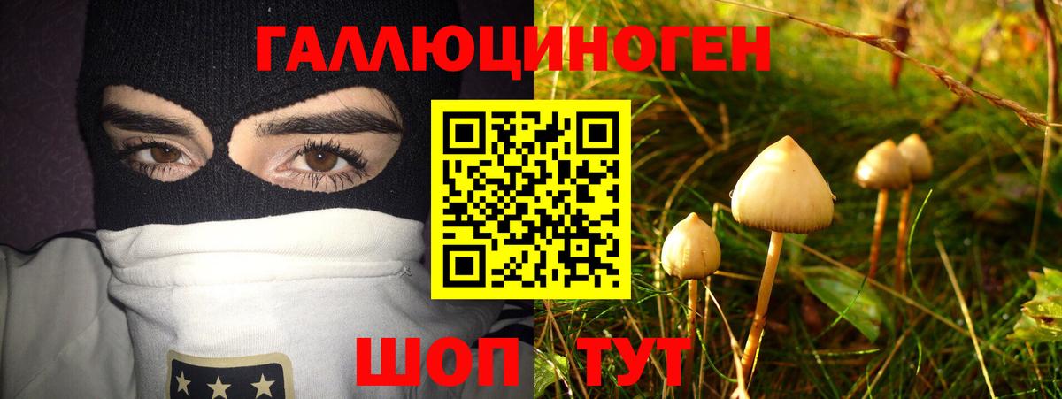 Самара  Галлюциногенные грибы мухоморы  где можно купить наркотик  Вход с VPN 
